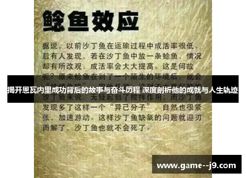 揭开恩瓦内里成功背后的故事与奋斗历程 深度剖析他的成就与人生轨迹