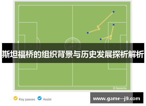 斯坦福桥的组织背景与历史发展探析解析 斯坦福桥的组织背景与历史发展探析解析