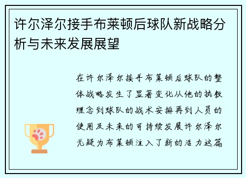 许尔泽尔接手布莱顿后球队新战略分析与未来发展展望